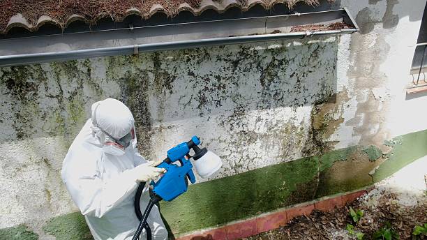 Trusted Commercial Mold Remediation service in Lutherville Timonium, MD - Cheap Mold Removal